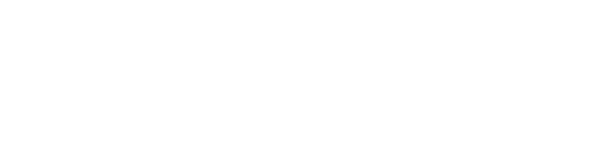 World Learning, Inc.